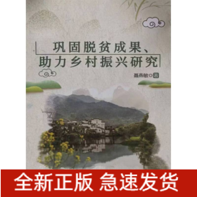 巩固脱贫成果、助力乡村振兴研究