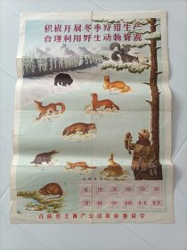 年画，宣传画〈积极开展冬季狩猎生产合理利用野生动物资源），包邮