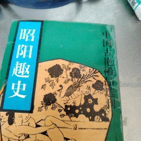 昭阳趣 史