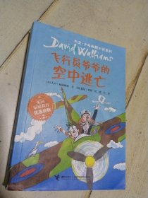 飞行员爷爷的空中逃亡 大卫 少年幽默小说系列