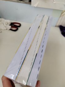 Python极客项目编程（第2版）全3册