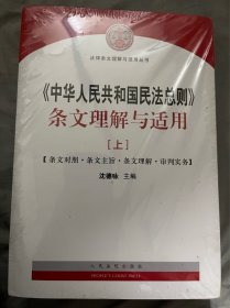 中华人民共和国民法总则 条文理解与适用（套装上下册）