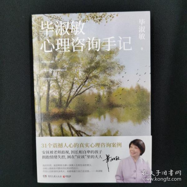 毕淑敏心理咨询手记（知名心理咨询师毕淑敏代表作，31个震撼人心的心理咨询案例）