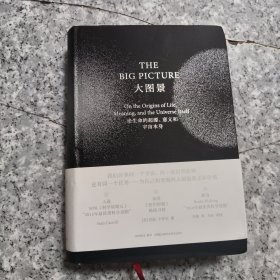 大图景论生命的起源、意义和宇宙本身 正版内干净