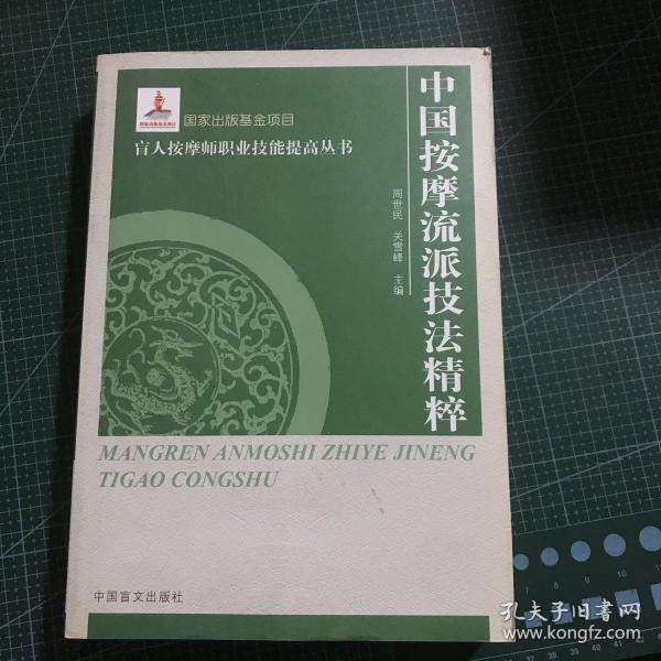 盲人按摩师职业技能提高丛书：中国按摩流派技法精萃（大字本）