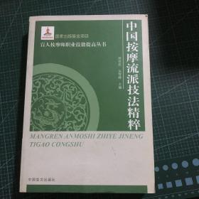 盲人按摩师职业技能提高丛书：中国按摩流派技法精萃（大字本）