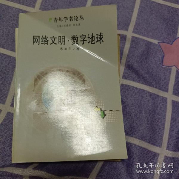 网络文明·数字地球