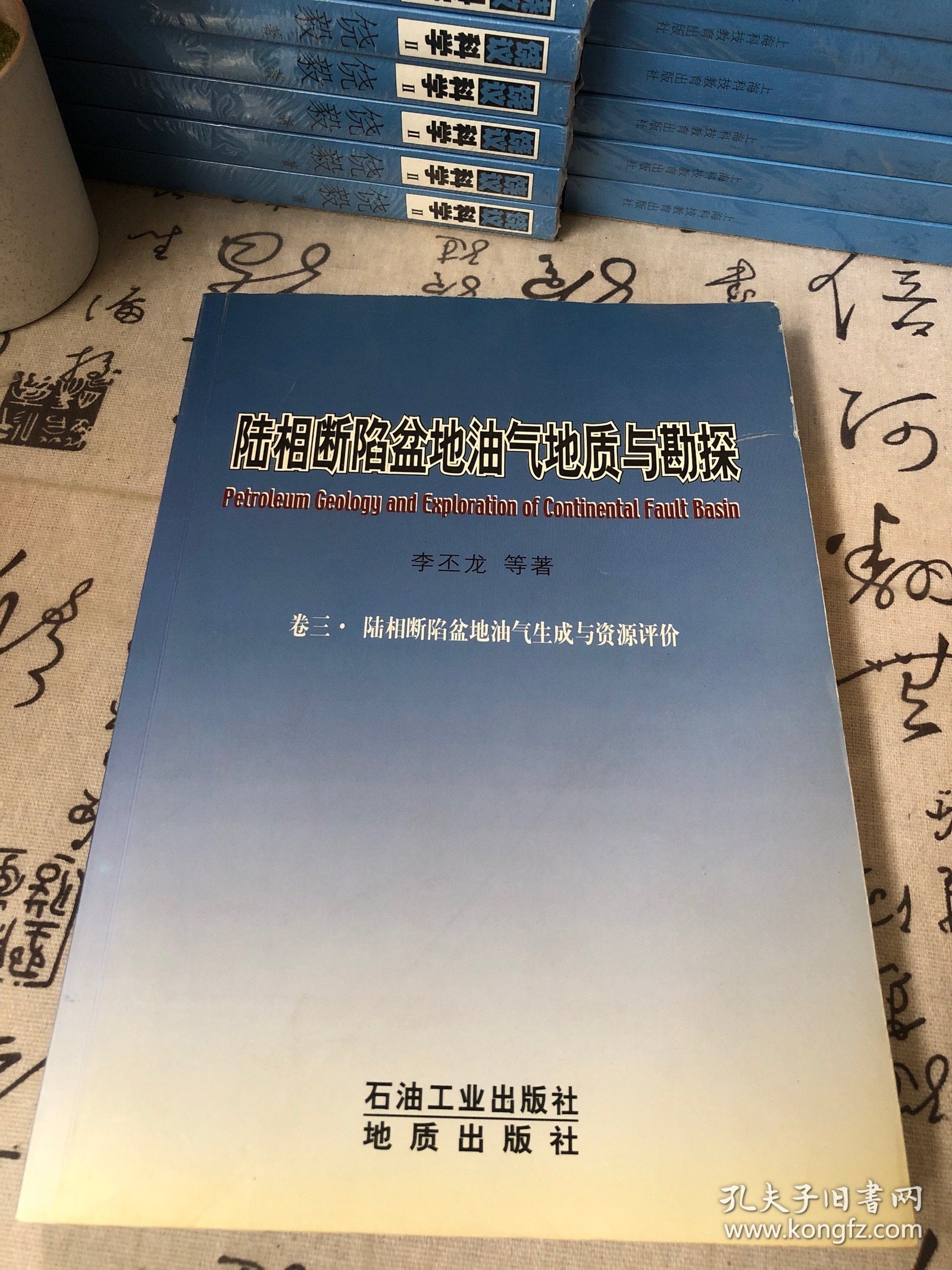 陆相断陷盆地油气地质与勘探（卷3）：陆相断陷盆地油气生成与资源评价