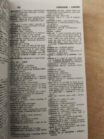 Merriam-Webster's Spanish-English Dictionary【英文原版】