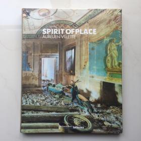 Spirit of Place-地方精神   Aurélien Villette teNeues Publishin  艺术画册  精装  未拆封