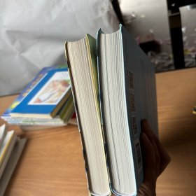 张思莱育儿手记·上下：1～4岁宝宝养育及早教专家指导