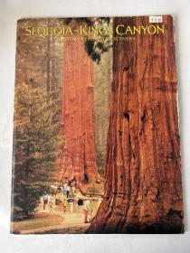 SEQUOIA-KINGS CANYON THE STORY BEHIND THE SCENERY