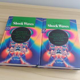 z.jiang（Ed.）Shock waves:Proceedings Of the24th International Symposium On Shock Waves Beiging，china Ju|y 11-16，2004（Volume 1 Volume 2）