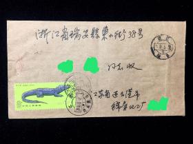 首日实寄封（无信）：1983.5.24 江苏连云港寄浙江瑞安平信（贴票T85(2-1)扬子鳄1枚）