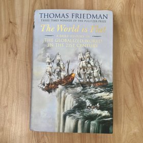 The World Is Flat : A Brief History of the Twenty-First Century
