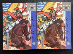 说岳全传（大说宋丛书第八部）上下全