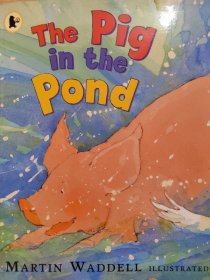 The Pig in the Pond 池塘里的猪