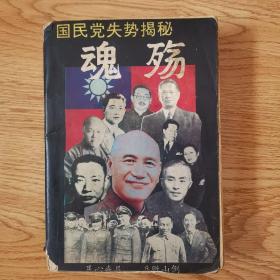 魂殇：国民党失势揭秘