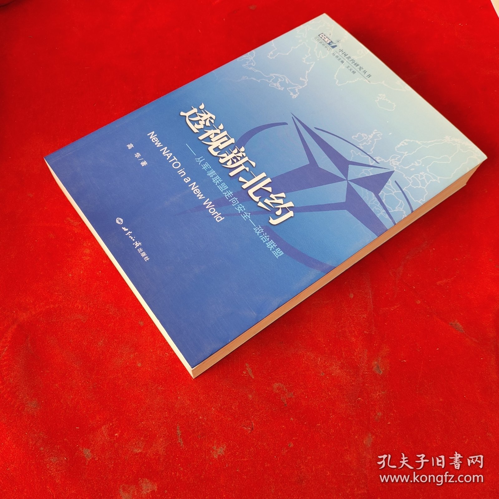中国北约研究丛书·透视新北约：从军事联盟走向安全一政治联盟