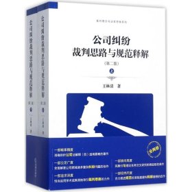 公司纠纷裁判思路与规范释解（第二版 套装上下册）