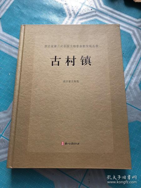 古村镇---浙江省第三次全国文物普查新发现丛书