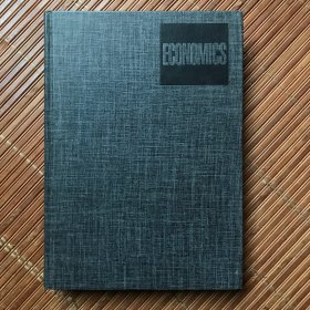 入门经济学 日文版