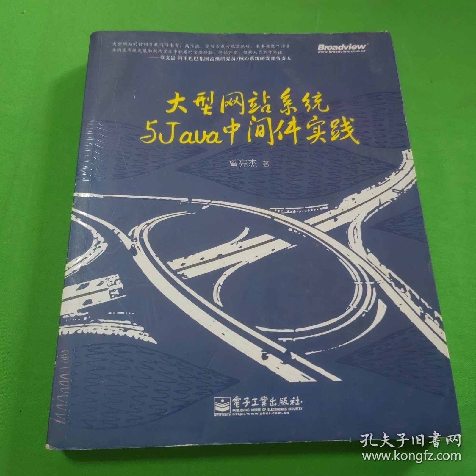 大型网站系统与Java中间件开发实践