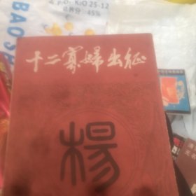 十二寡妇出征 河南人民出版社