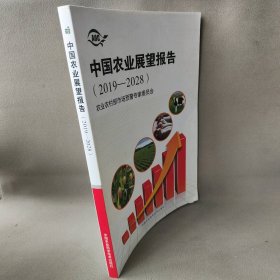 中国农业展望报告（2019-2028）