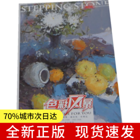 色彩風(fēng)暴-色彩靜物-色彩訓(xùn)練