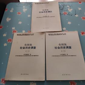 布朗族社会历史调查（1-3）中国少数民族社会历史调查资料丛刊（修订本）