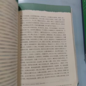 大师的国学课10：中国断代史 两晋南北朝卷（下册）