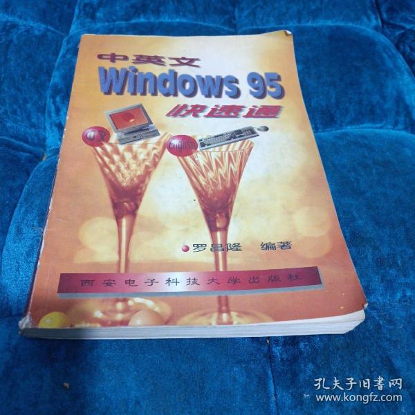 中英文Windows 95快速通