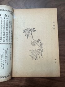 极少见 吴研人 侦探小说 金齿盗 民国十一年 上海春明书店出版