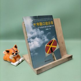 十字路口启示录：少年庭法官谈问题少年