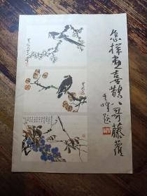 怎样画喜鹊八哥藤萝（自学美术丛书八）