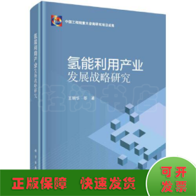 氢能利用产业发展战略研究