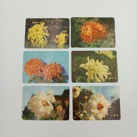 年历卡 1975年 植物鲜花 年历片 金线垂珠 大理花 湖上月 金背大红 虎走 6枚合售