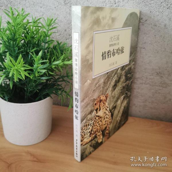 情豹布哈依：沈石溪激情动物小说