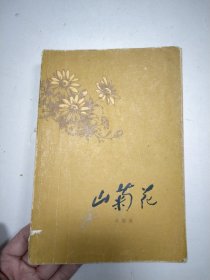 山菊花 上册