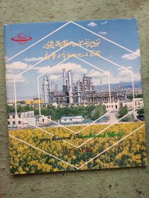 乌鲁木齐石油化工总厂1975-1985 12开画册
