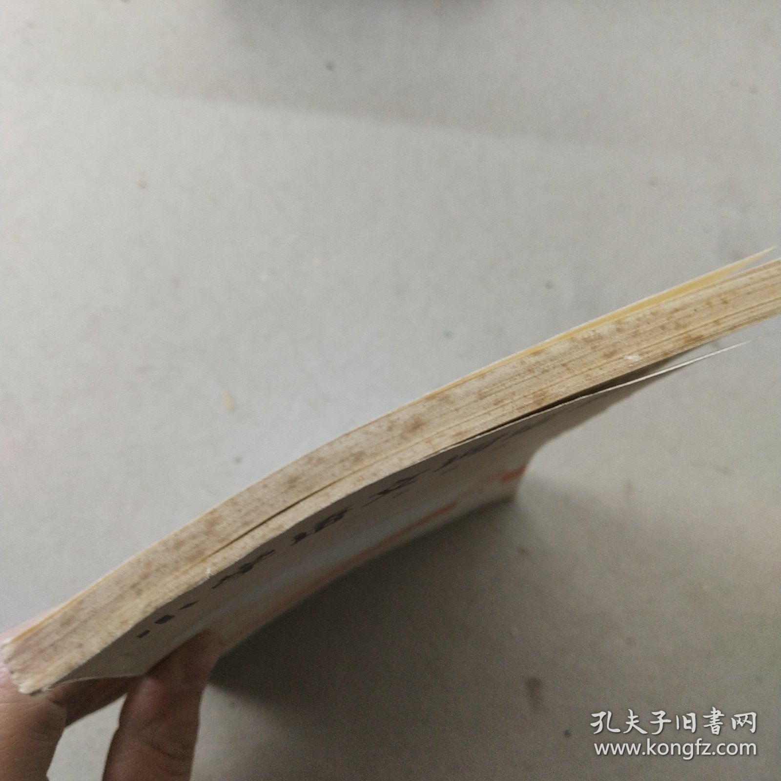 小学语文词语解释一年级用