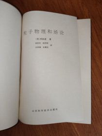 粒子物理和场论