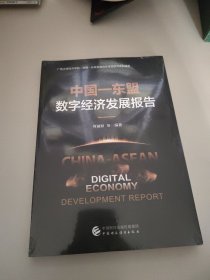 中国—东盟数字经济发展报告