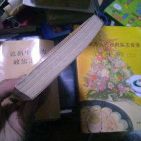 论新中国的政法工作