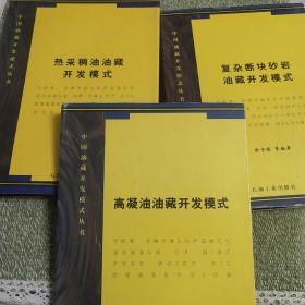 高凝油油藏開(kāi)發(fā)模式
熱采稠油油藏開(kāi)發(fā)模式
復(fù)雜斷塊砂巖油藏開(kāi)發(fā)模式