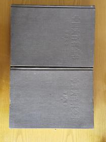 中国大百科全书文学卷两册（一版一印）