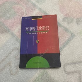 南非现代化研究