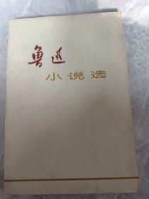 鲁迅小说选