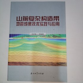 山前复杂构造带地震成像技术实践与应用